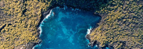 Naturaleza para una cápsula sostenible