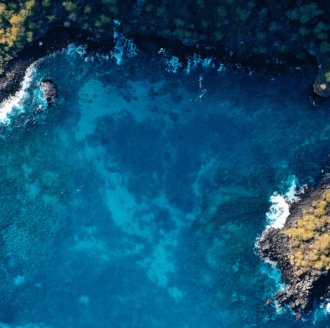 Naturaleza para una cápsula sostenible