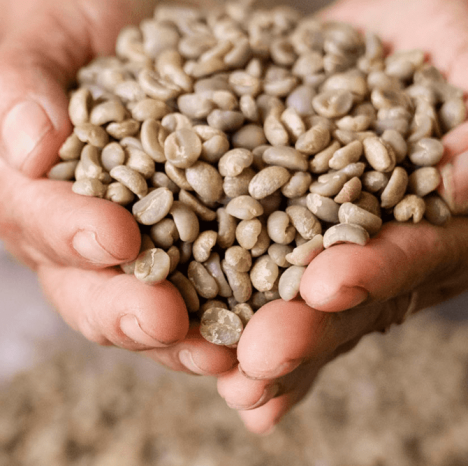 Granos de café para una de las bebidas más saludables