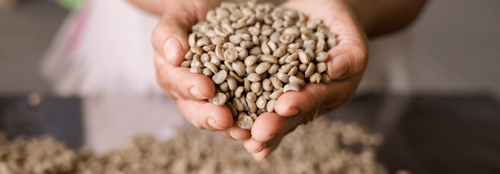 Granos de café para una de las bebidas más saludables